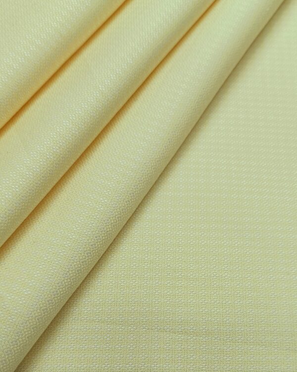 Raymond Men's Self Texture Design Solid Color Shirting Fabric