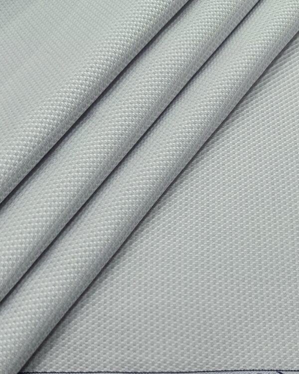 Raymond Men's Micro Self Texture Formal Shirting Fabric